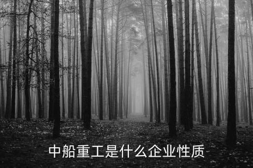 貴州長(zhǎng)征橋涂料化工股份有限公司