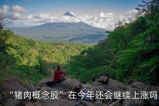 “豬肉概念股”在今年還會(huì)繼續(xù)上漲嗎