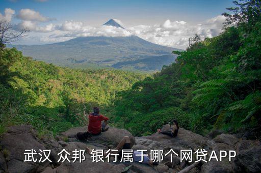 眾邦銀行股份有限公司,寶付武漢眾邦銀行股份有限公司