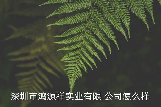 深圳市鴻源祥實業(yè)有限 公司怎么樣