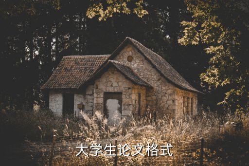 大學(xué)生論文格式