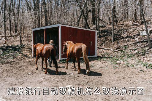 建設(shè)銀行自動取款機(jī)怎么取錢演示圖