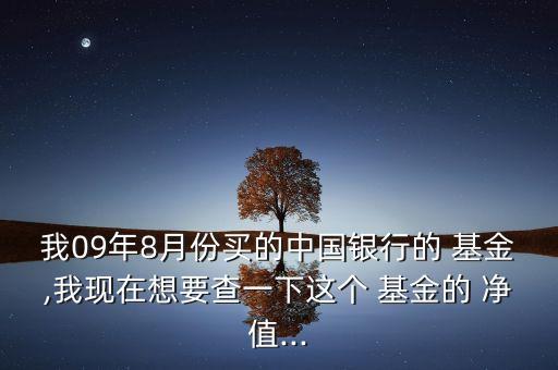 我09年8月份買的中國銀行的 基金,我現在想要查一下這個 基金的 凈值...