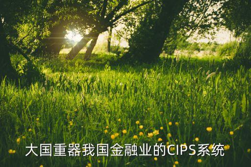 大國重器我國金融業(yè)的CIPS系統(tǒng)