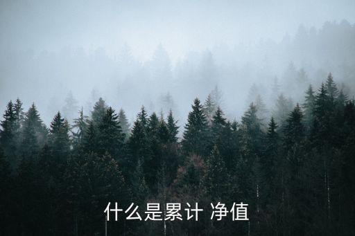 什么是累計(jì) 凈值