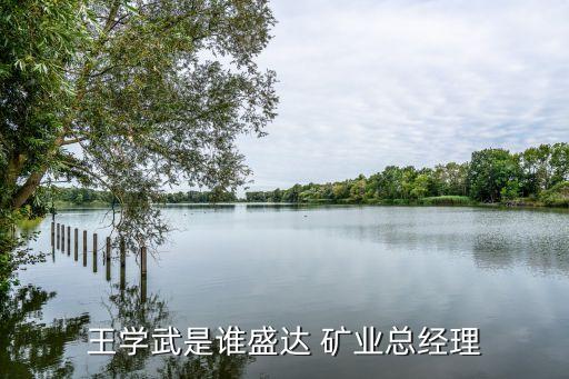 王學(xué)武是誰盛達(dá) 礦業(yè)總經(jīng)理