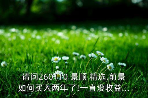 景順精選藍籌基金凈值查詢,景順藍籌基金今日凈值260110