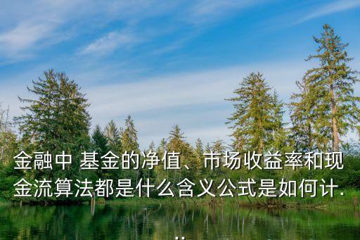 金融中 基金的凈值、市場收益率和現(xiàn)金流算法都是什么含義公式是如何計...