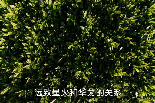 深圳遠(yuǎn)致投資有限公司,深圳至遠(yuǎn)投資有限公司