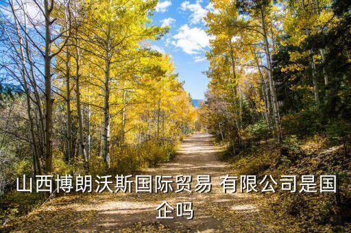 山西博朗沃斯國際貿(mào)易 有限公司是國企嗎