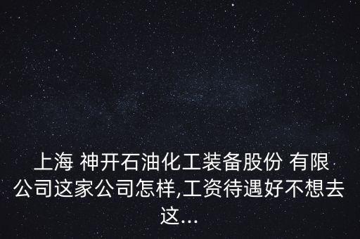  上海 神開石油化工裝備股份 有限公司這家公司怎樣,工資待遇好不想去這...