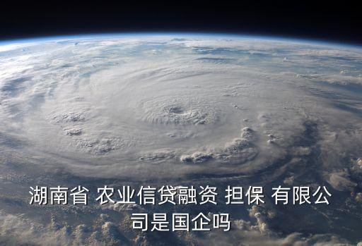 湖南省 農(nóng)業(yè)信貸融資 擔保 有限公司是國企嗎