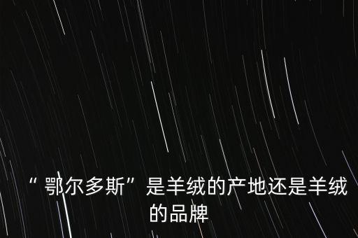 鄂爾多斯一本集團簡介