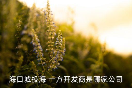 ?？诔峭逗?一方開發(fā)商是哪家公司