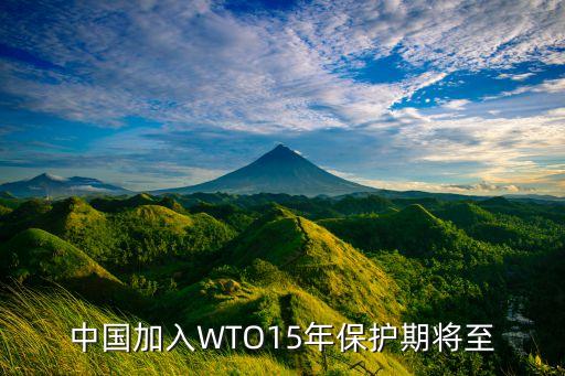 中國2015年wto