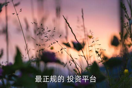 最正規(guī)的 投資平臺(tái)