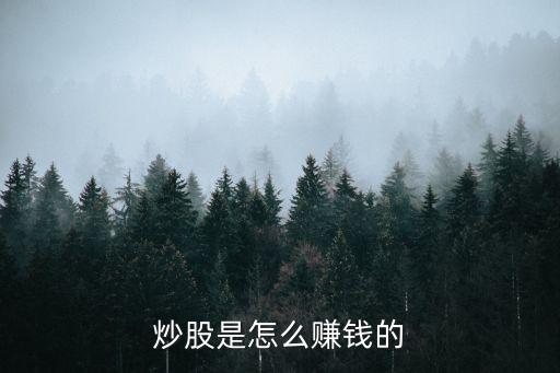 股票的盈利方式,股票盈利幾個(gè)點(diǎn)就可以賣了