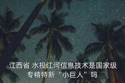  江西省 水投江河信息技術(shù)是國家級專精特新“小巨人”嗎