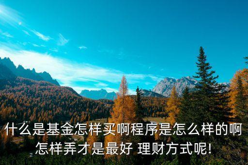 什么是基金怎樣買啊程序是怎么樣的啊怎樣弄才是最好 理財(cái)方式呢!