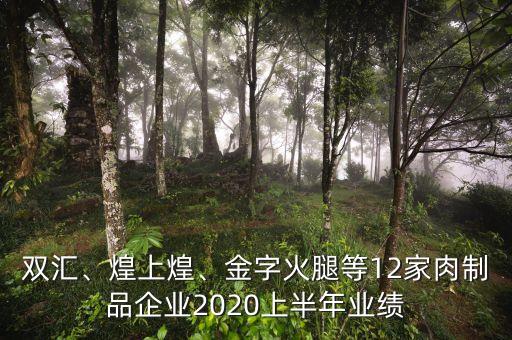 雙匯、煌上煌、金字火腿等12家肉制品企業(yè)2020上半年業(yè)績