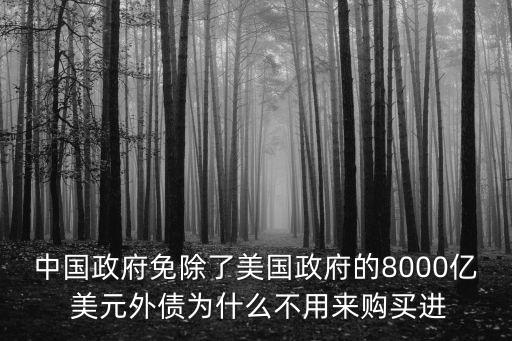 中國(guó)政府免除了美國(guó)政府的8000億 美元外債為什么不用來(lái)購(gòu)買進(jìn)