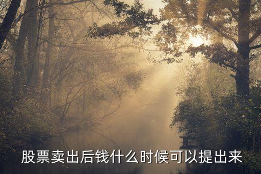  股票賣出后錢什么時(shí)候可以提出來