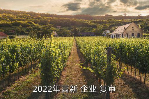 2022年高新 企業(yè) 復(fù)審