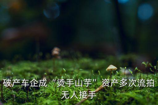 破產(chǎn)車企成“燙手山芋”資產(chǎn)多次流拍無人接手