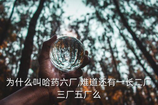 為什么叫哈藥六廠,難道還有一長(zhǎng)二廠三廠五廠么