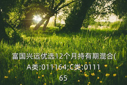  富國興遠(yuǎn)優(yōu)選12個月持有期混合(A類:011164;C類:011165