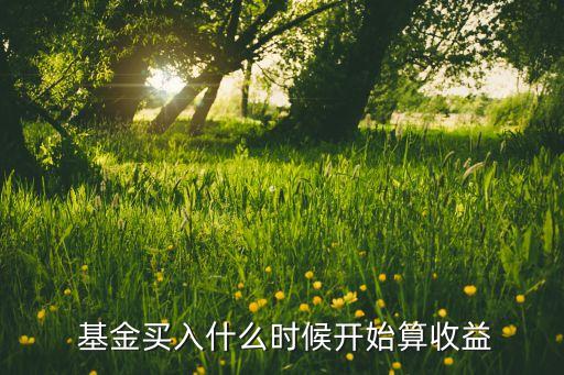  基金買(mǎi)入什么時(shí)候開(kāi)始算收益