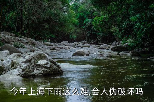 上海市氣象局首席服務(wù)官滿(mǎn)莉萍