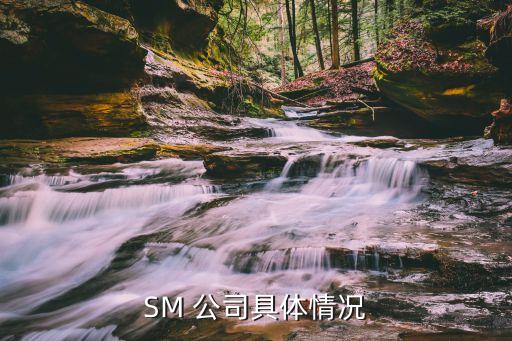 sm公司股票價(jià)格,怎么買(mǎi)sm公司的股票