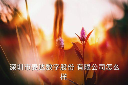 深圳東紅開發(fā)磁盤有限公司