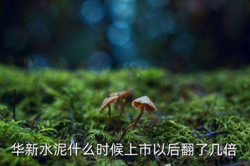 華新水泥什么時(shí)候上市以后翻了幾倍