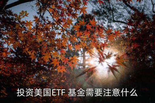 投資美國(guó)ETF 基金需要注意什么