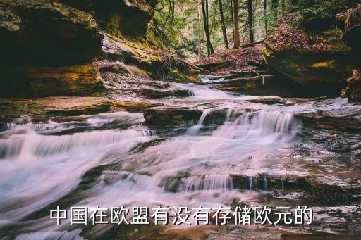 中國在歐盟有沒有存儲(chǔ)歐元的