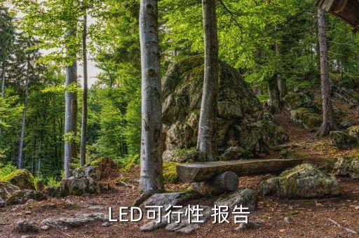 LED可行性 報告