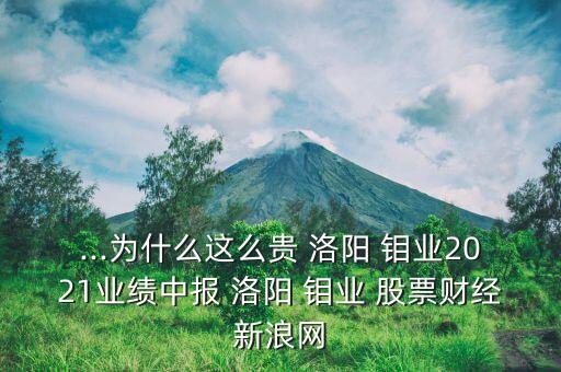 ...為什么這么貴 洛陽 鉬業(yè)2021業(yè)績中報(bào) 洛陽 鉬業(yè) 股票財(cái)經(jīng)新浪網(wǎng)