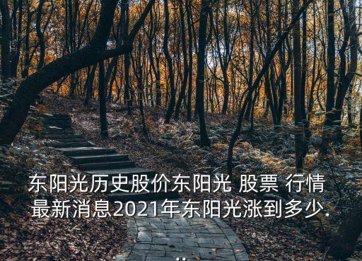 東陽(yáng)光歷史股價(jià)東陽(yáng)光 股票 行情 最新消息2021年?yáng)|陽(yáng)光漲到多少...