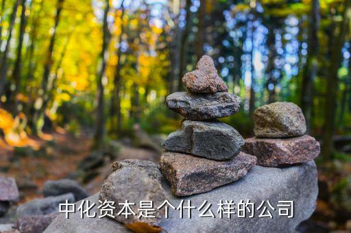 遠(yuǎn)東宏信公益基金,上海宏信公益基金