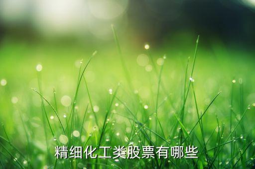 精細(xì)化工類股票有哪些