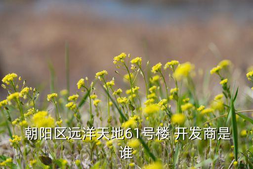  朝陽區(qū)遠(yuǎn)洋天地61號(hào)樓 開發(fā)商是誰