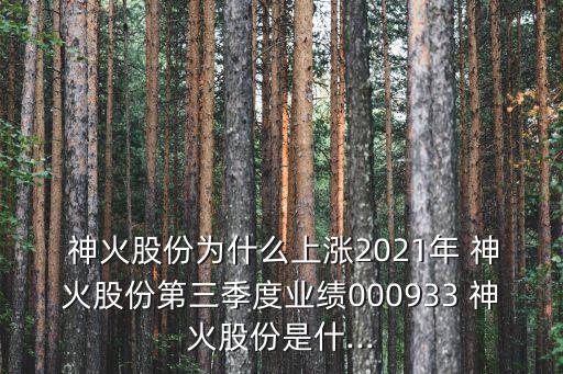  神火股份為什么上漲2021年 神火股份第三季度業(yè)績(jī)000933 神火股份是什...