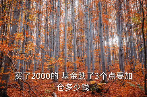 買(mǎi)了2000的 基金跌了3個(gè)點(diǎn)要加倉(cāng)多少錢(qián)