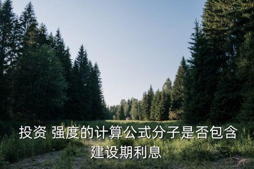  投資 強(qiáng)度的計(jì)算公式分子是否包含建設(shè)期利息