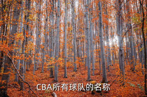 CBA所有球隊(duì)的名稱