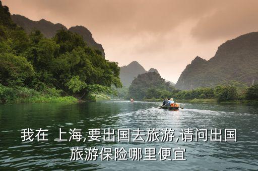 上海保險(xiǎn)金融旅行,劉旺青 上海 金融 保險(xiǎn) 投資