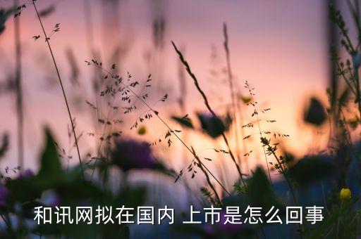 和訊網(wǎng)擬在國內(nèi) 上市是怎么回事