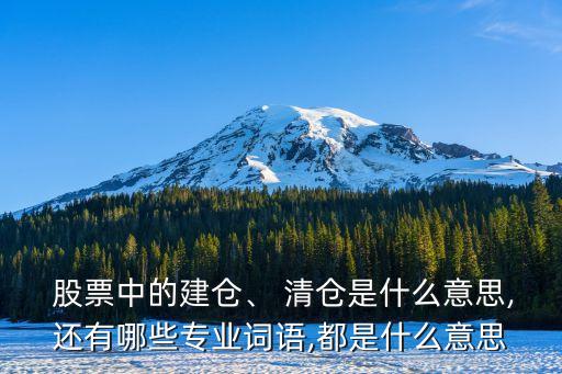  股票中的建倉、 清倉是什么意思,還有哪些專業(yè)詞語,都是什么意思